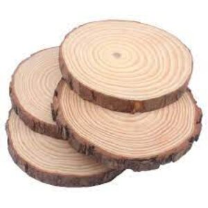 Natural Wood Round Slices