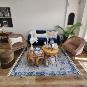 Blue And Taupe Lounge