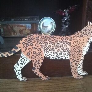 Leopard Structure