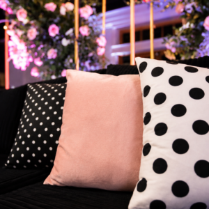 Assorted Lounge Pillows